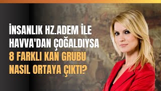 İnsanlık Hz. Adem İle Havva'dan Çoğaldıysa 8 Farklı Kan Grubu Nasıl Ortaya Çıktı?