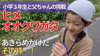 【ヒメオオクワガタ採集】小学３年生と父ちゃんが挑戦！！