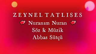 Zeynel Tatlıses / Nuranım Nuran