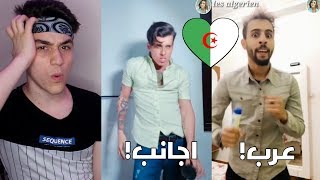 جزائريون ضد الأجانب على تيك توك Tik Tok Les Algériens vs les Européens