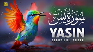 Surah Yasin (Yaseen) سورة يس | Relaxing emotional recitation | SOFT VOICE | Zikrullah TV