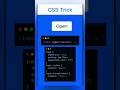 Checkbox Button Trick Using Pure CSS 😱 | No JS Needed!