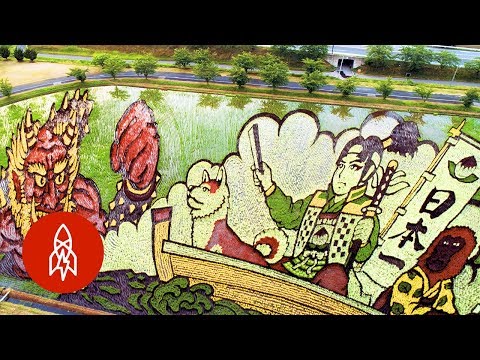 The Japanese Town Growing Masterpieces With Rice The Japanese Town Growing Masterpieces With Rice