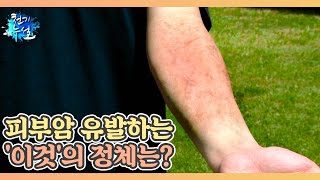 단 4초 동안의 노출로도 건강 위협! 피부암 유발하는 '이것'의 정체는? MBN 220805 방송