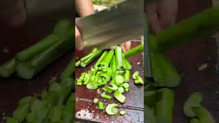 diyproject #agriculture #agriculturaltools 69