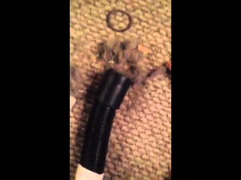 Vacuum not working fix it! how to unclog your vacuum hose. Vacuum not working fix it! how to unclog your vacuum hose.