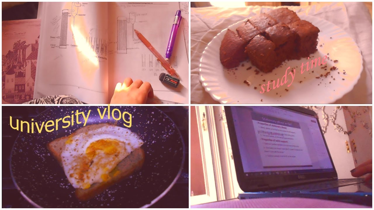 University Study Vlog Day In The Life Of A Pharmacy Student End Of