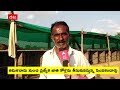 different cocks for fights అనంతలో లాభసాటిగా మారుతున్న పందెం కోళ్ల పెంపకం abp desam