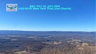 뉴욕참사랑교회 주일 예배 실황(New  York True Love Church Sunday Worship Service Live (1-26-2025)