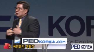 2013 PEDKOREA \