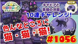 紫が素敵な猫の家具♪【ポケ森】#1056 キャビアと黒猫の洋館★フォーチュンクッキー10連チャレンジ！