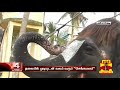 ஷவரில் உற்சாக குளியல் போடும் கோயில் யானை kovil elephant mannargudi