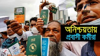 প্রবাসীকর্মীর ভিসার মেয়াদ শেষ হয়ে যাচ্ছে তারা পড়েছেন চরম অনিশ্চয়তায় I Maasranga News