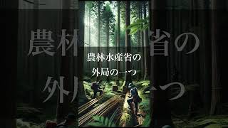 【林野庁（森林管理局）】国家公務員（係長級）◆年間休日120日／残業月5時間◆未経験歓迎#shorts