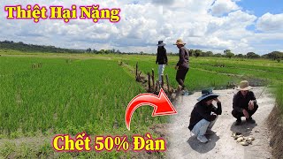 Linh Philip || Thiệt Hại Nặng Nề Sau Trân Mưa Đá To Nhất Từ Đầu Mùa Mưa Năm Nay !!