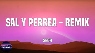 Sech - Sal y Perrea - Remix  (Letra/Lyrics)