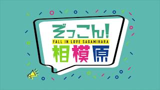 ぞっこん！相模原　2019年11月放送分　「食」にあふれる相模原