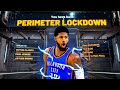 Best PERIMETER LOCKDOWN Build on NBA 2K20! *RAREST* MOST OVERPOWERED Build in NBA 2K20!