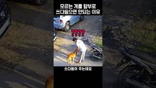 사람에게 안기던 들개, 예상치 못한 행동의 이유는?