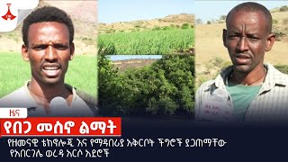 የዘመናዊ ቴክኖሎጂ እና የማዳበሪያ አቅርቦት ችግሮች ያጋጠማቸው የአበርገሌ ወረዳ አርሶ አደሮች Etv | Ethiopia | News