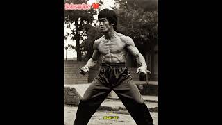 The Real Bruce Lee Beyond Martial Arts Myths