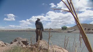 Millions of fish could die as Colorado drought forces draining of Antero Reservoir