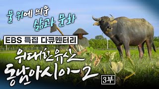 EBS 특집 다큐멘터리 ＜위대한 유산 동남아시아 - 3부 물 위에 비친 농민들의 삶, 베트남 수상인형극＞