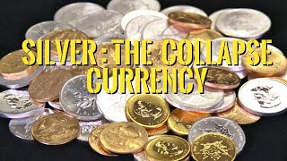 This is Why SILVER will become the Post Collapse Currency