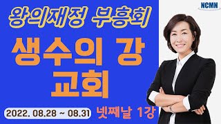 [NCMN] 생수의 강 교회 김미진 간사 재정부흥회 (7/8)