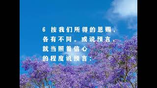 罗马书12:6【对神要有归属感】