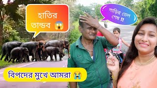 Elephant attack || 😱😭 জলদাপাড়া জঙ্গলে আমরা || গাড়ির তেল শেষ !! হাতির তান্ডব ||বিপদের মুখে আমরা ||