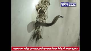 আতঙ্ক যখন বাড়ির দেওয়ালে, সেদিন আবার বিশেষ তিথি: কী হল শেষমেশ?