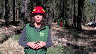 FWPP - Veteran Fire Crews aid Flagstaff Watershed Protection Project update