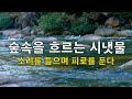 🎧 『자연의소리/계곡물소리』 숲속을 흐르는 시냇물 소리를 들으며 피로를 푼다. - 숙면과 공부, 휴식을 위한 백색소음 - ASMR.