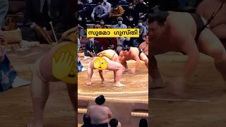 തിന്നുക പ്രാക്ടീസ് ചെയ്യുക കളിക്കുക sumo wrestling malayalam shorts