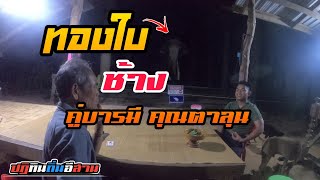 ทองใบ ช้างคู่บารมี คุณตาลุน | ปฏิทิน ถิ่นอีสาน