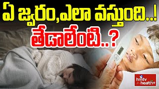 ఏ జ్వరం,ఎలా వస్తుంది..! తేడాలేంటి..? | hmtv healthplus