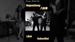 Baguazhang Application #shorts #martialarts #kungfu