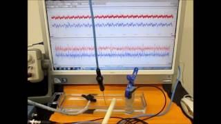 超音波を利用した表面検査実験　Ultrasonic experiment