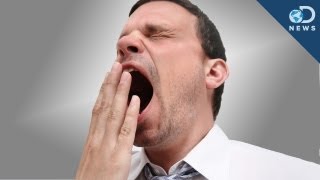 Why Do We Yawn?