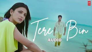 Sonu Nigam "Tere Bin" Audio Song | Pritam | Dil Toh Baccha Hai Ji | Emraan Hashmi, Shruti Haasan