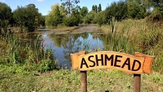 Ashmead Adventure || 48hrs Carp Fishing