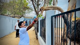 😭 நெருப்பு கோழிக்கிட்ட மாட்டிக்கிட்டேன் | தஞ்சாவூர் கலெக்டர் தொடங்குன பறவை பூங்கா