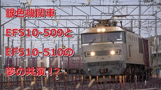 銀色機関車EF510-509とEF510-510の夢の共演！？　A freight train that runs through Kanazawa　～2021年11月27日～