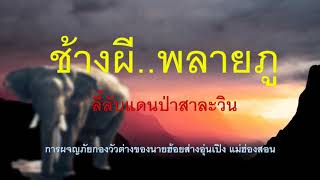 ๓๘.ช้างผี..พลายภู ลี้ลับป่าสาละวิน