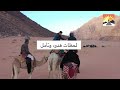 سحر البرية رحلة مثيرة في عالم الجمال