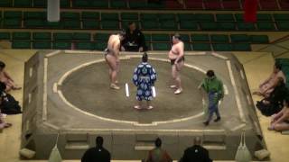 魁新丸-佐田の豪/2017.5.18/kaishinmaru-sadanogo/day5 #sumo