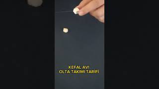 Kefal Avı Olta Takımı Tarifi/Mullet Fishing Tackle #shorts #fishing