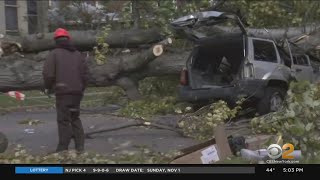 High Winds Knock Down Trees, Power Lines, Cause Damage In New Jersey