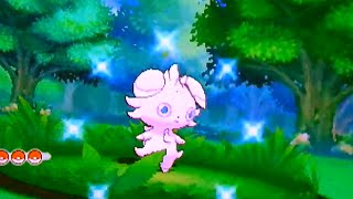 ポケモンオメガルビー・アルファサファイア　色違いニャスパー誕生なのー(∩╹∀╹∩)　 MM HA Male Shiny Espurr !! Pokemon ORAS